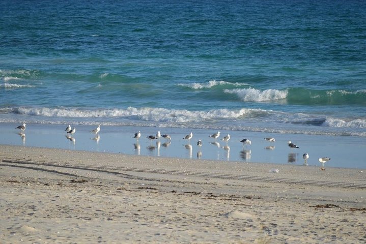 West Salalah Tour - Caribbean of Orient - Fazayah Beach with City