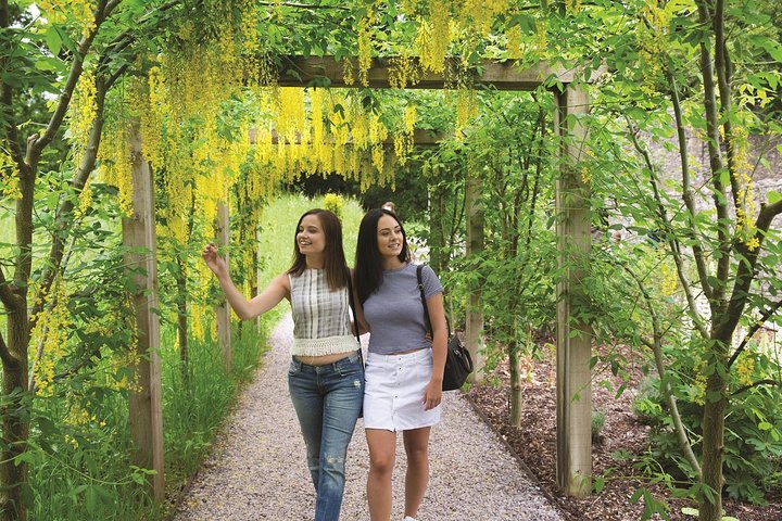 Dublin to Rock of Cashel Cork City and Blarney Castle Guided Tour