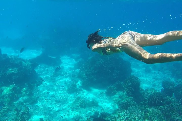 Small Group Capri Island Boat Ride with Swimming and Limoncello