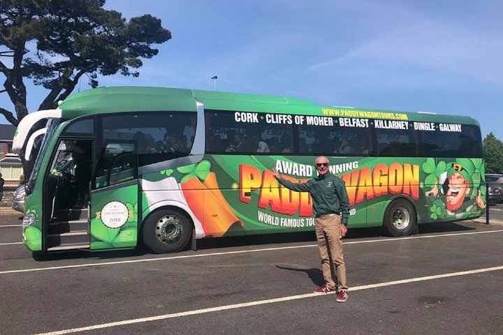 Shore Excursion From Cork: Including Blarney Castle and Kinsale