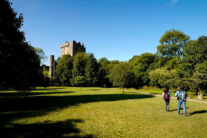 Shore Excursion From Cork: Including Blarney Castle and Kinsale