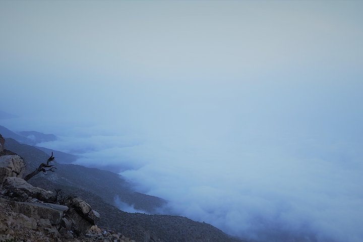 East Salalah Mountain Safari, Wadi Darbat, Beach, Camels, Dunes