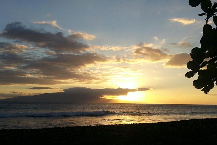 Private Hana, Ocean, Turtle Town, Winery Tour of Maui