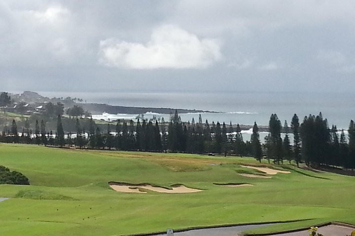 Private Hana, Ocean, Turtle Town, Winery Tour of Maui
