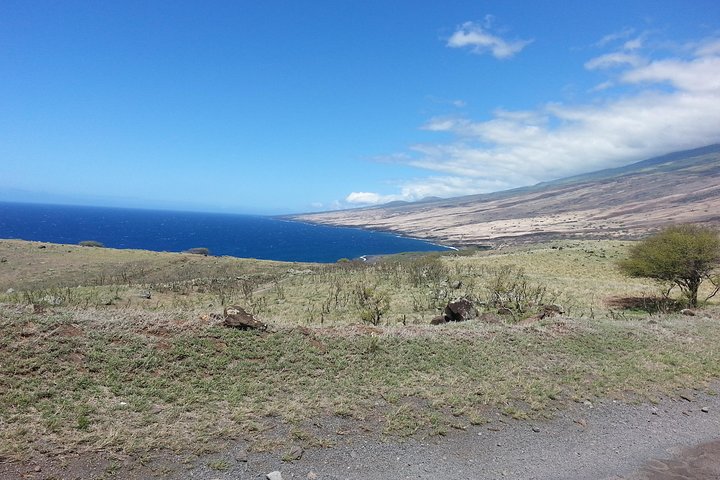 Private Hana, Ocean, Turtle Town, Winery Tour of Maui