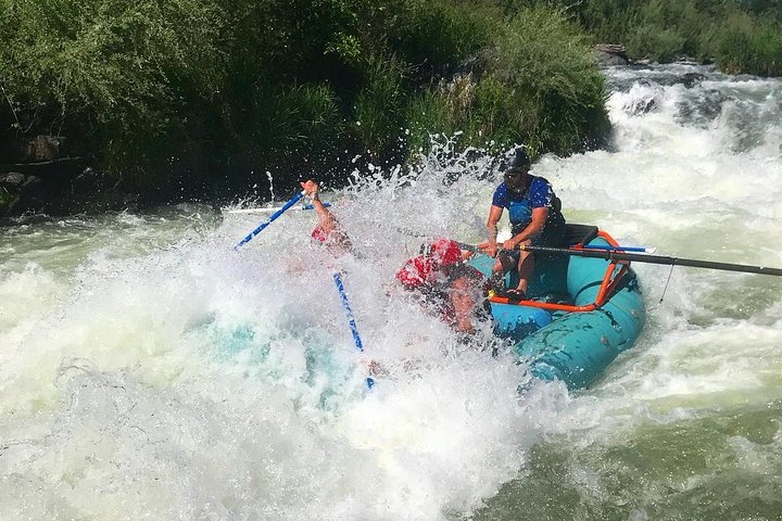 Rogue River Thrill Seeker