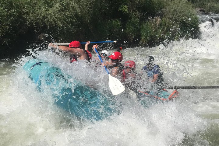 Rogue River Thrill Seeker