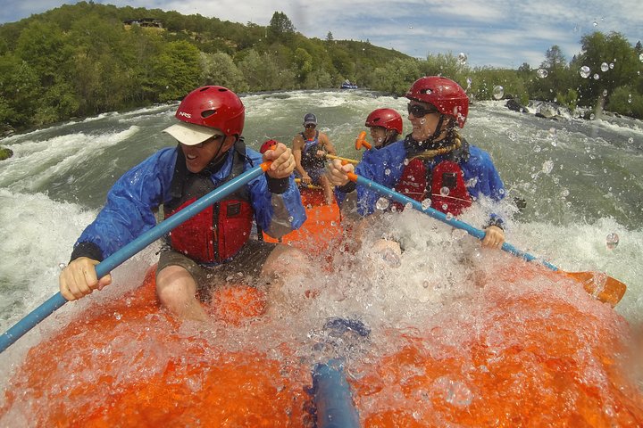 Rogue River Thrill Seeker