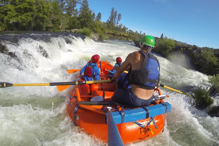 Rogue River Thrill Seeker