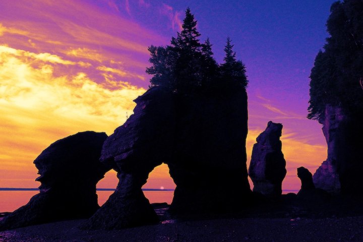 Hopewell Rocks Admission