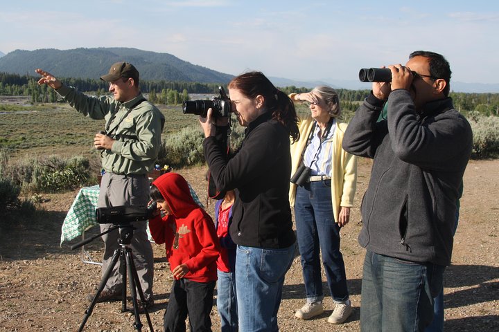 From Jackson Hole: Yellowstone Old Faithful, Waterfalls and Wildlife Day Tour