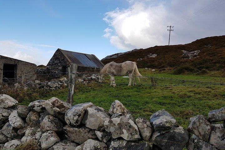 From Galway: Guided tour of Connemara with 3 hour stop at Connemara National Pk.