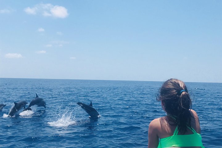 Dolphin and Whale Watching Tour in Drake Bay as seen on National Geographic