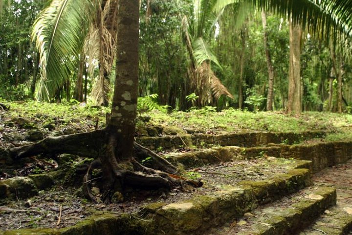 Costa Maya Shore Excursion Chacchoben Day Trip
