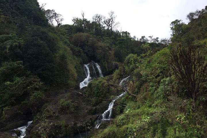 Maui Tour : Road to Hana Day Trip from Lahaina with Pick-up