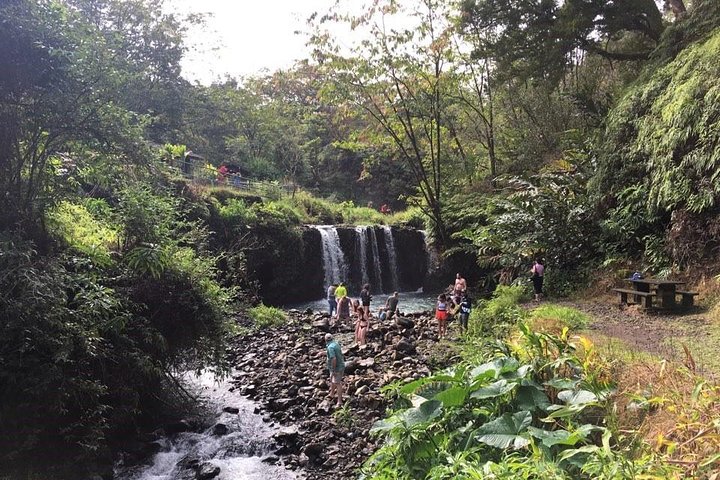 Road to Hana: Full-Day Scenic Drive with Blacksand & Waterfalls
