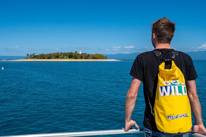 Half Day Low Isles Snorkelling Tour from Port Douglas