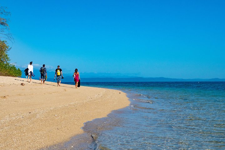 Half Day Low Isles Snorkelling Tour from Port Douglas