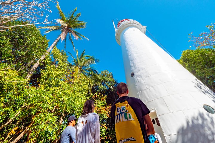 Half Day Low Isles Snorkelling Tour from Port Douglas