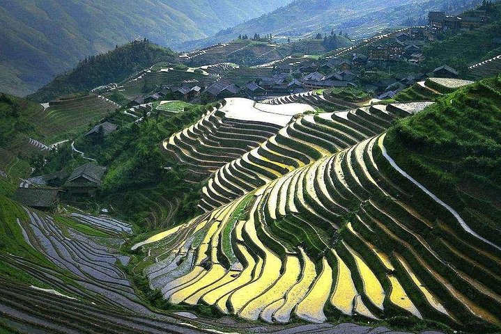 Full-day Tour: Longji Rice Terraces & Minority Villages