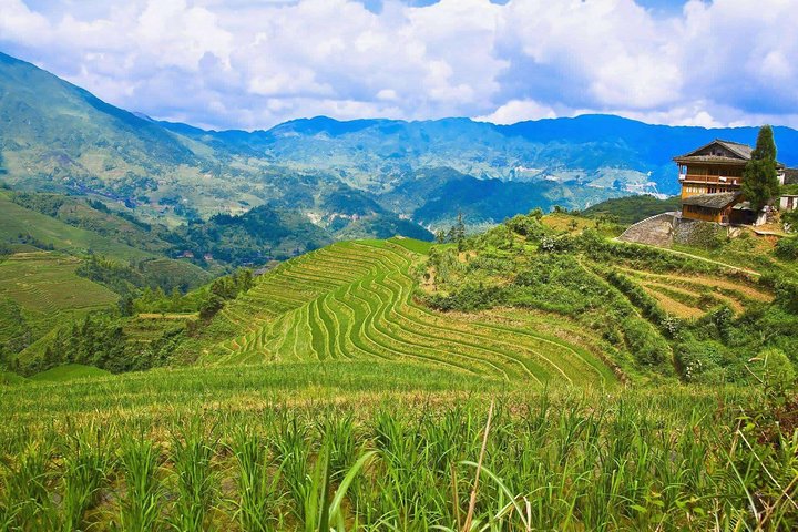 Full-day Tour: Longji Rice Terraces & Minority Villages