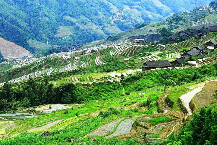 Full-day Tour: Longji Rice Terraces & Minority Villages