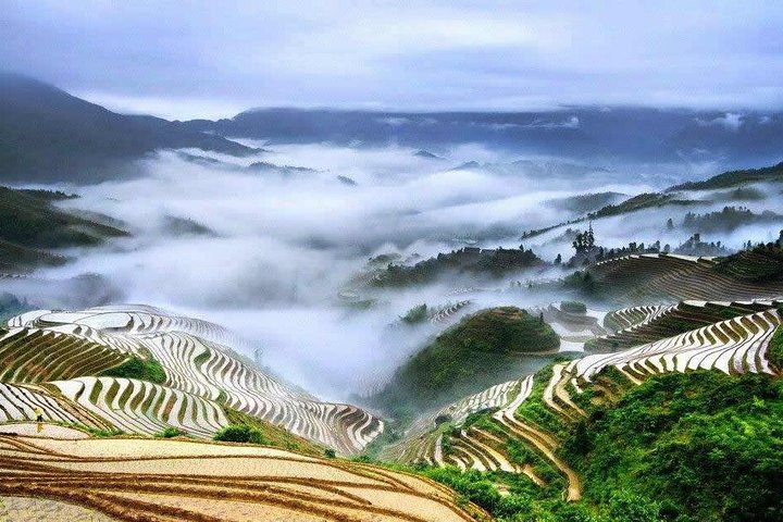 Full-day Tour: Longji Rice Terraces & Minority Villages
