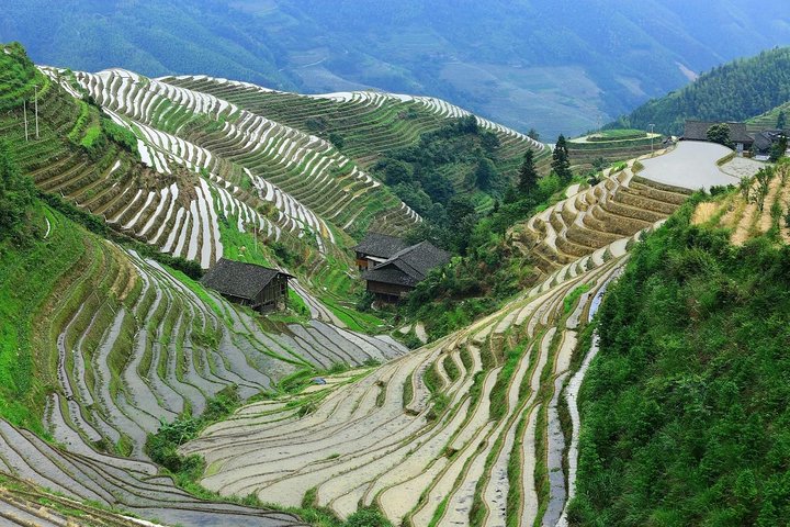 Full-day Tour: Longji Rice Terraces & Minority Villages