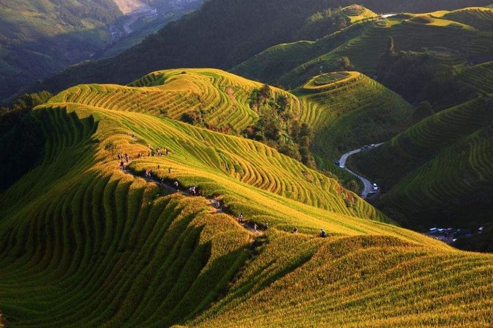 Full-day Tour: Longji Rice Terraces & Minority Villages