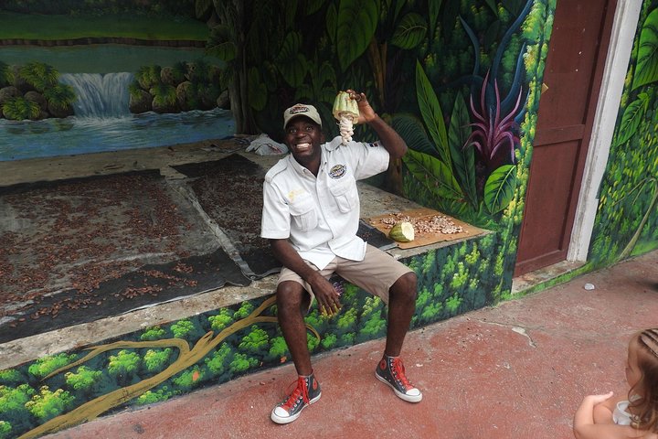 Monkeyland and Plantation Safari Tour from Punta Cana