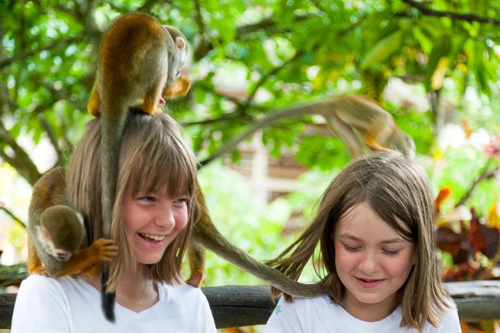 Monkeyland and Plantation Safari Tour from Punta Cana