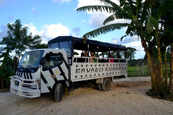 Monkeyland and Plantation Safari Tour from Punta Cana