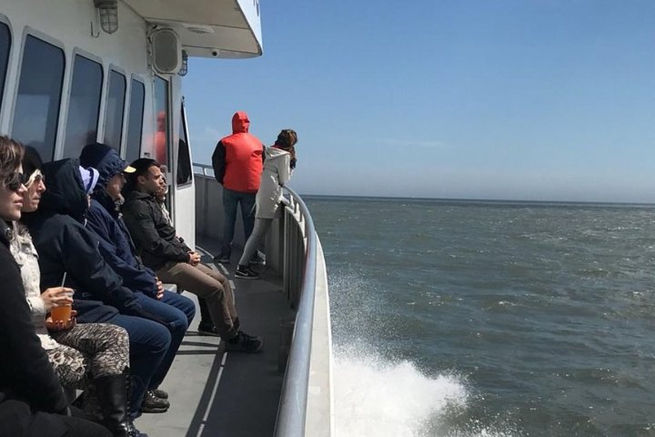 Whale and Dolphin Watching Cruise from Cape May