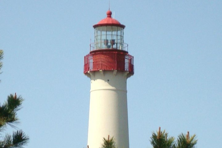 Dolphin Watching around Cape May