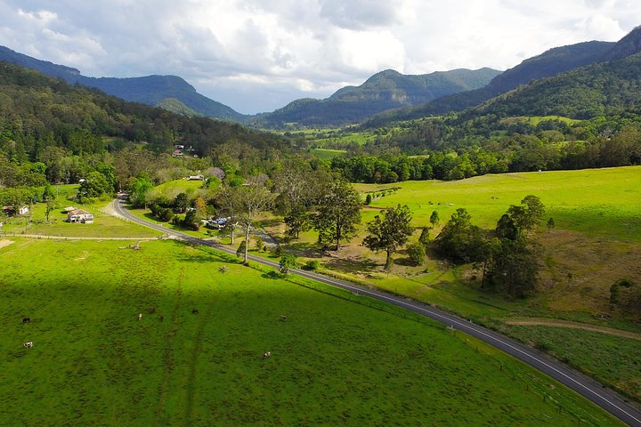 Springbrook Waterfalls & Natural Bridge Tour from Gold Coast