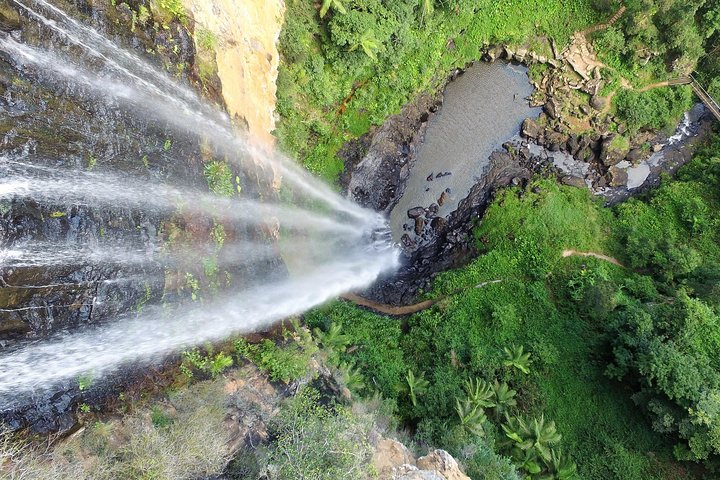 Springbrook Waterfalls & Natural Bridge Tour from Gold Coast