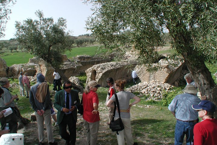 DAY TRIP TO Dougga & Bulla Regia , DEPARTURE FROM Tunis