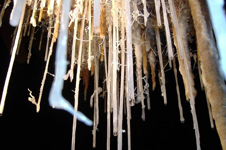 Cagliari: Full-Day Porto Flavia and Zuddas Caves Private Experience from Chia