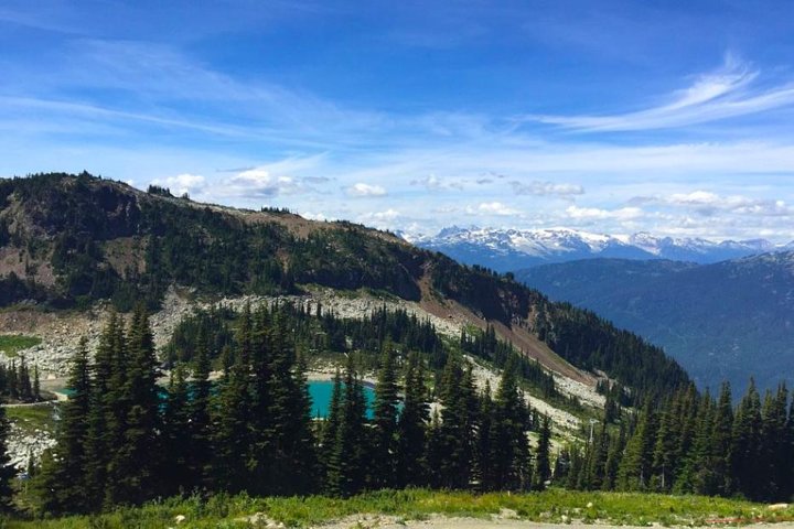 Whistler Sightseeing Tour from Vancouver: See Horseshoe Bay and Shannon Falls