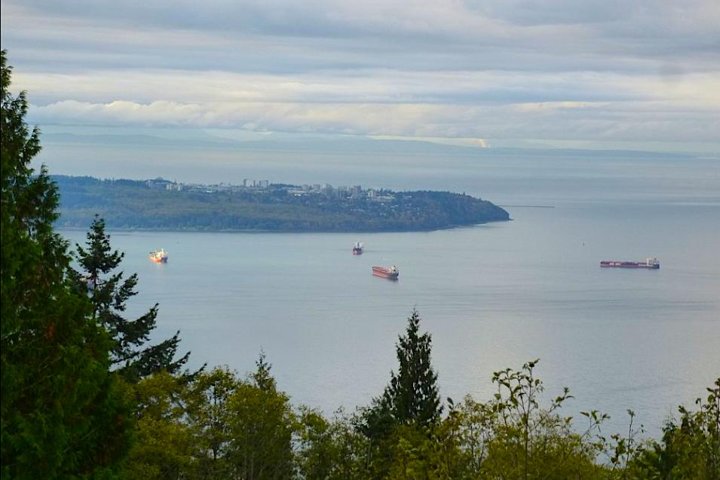 Whistler Sightseeing Tour from Vancouver: See Horseshoe Bay and Shannon Falls