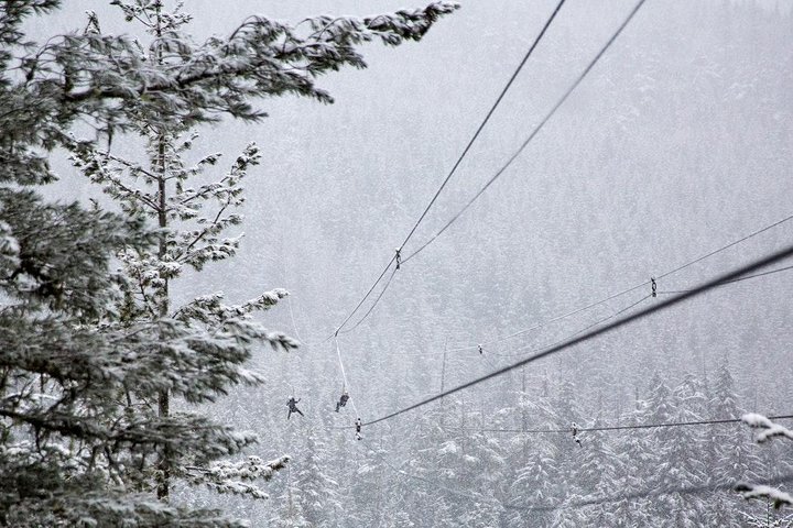 Whistler Sightseeing Tour from Vancouver: See Horseshoe Bay and Shannon Falls