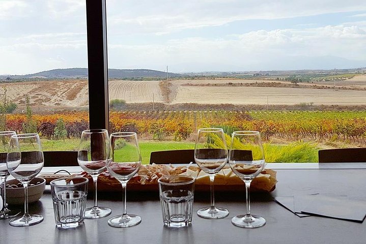 Cagliari: Full Day Wine Private Experience with Lunch