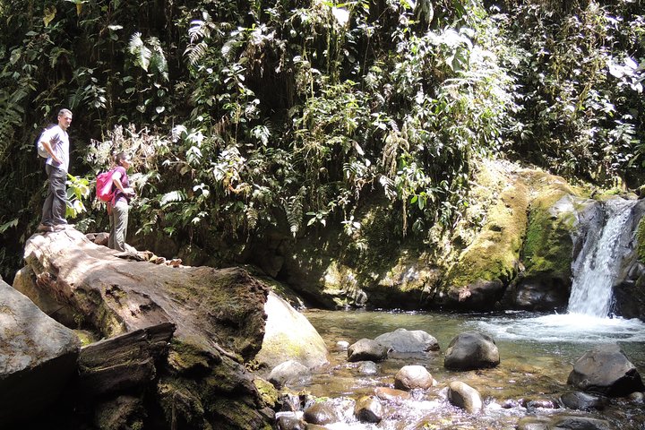 Mindo Cloud Forest Private Day Tour