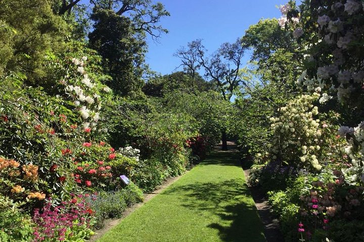 Half day Private Tour of Dunedin City Highlights and Peninsula Scenery