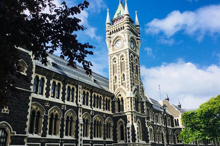 Dunedin City Highlights, Otago Peninsula Scenery & a Guided Penguin Reserve Tour