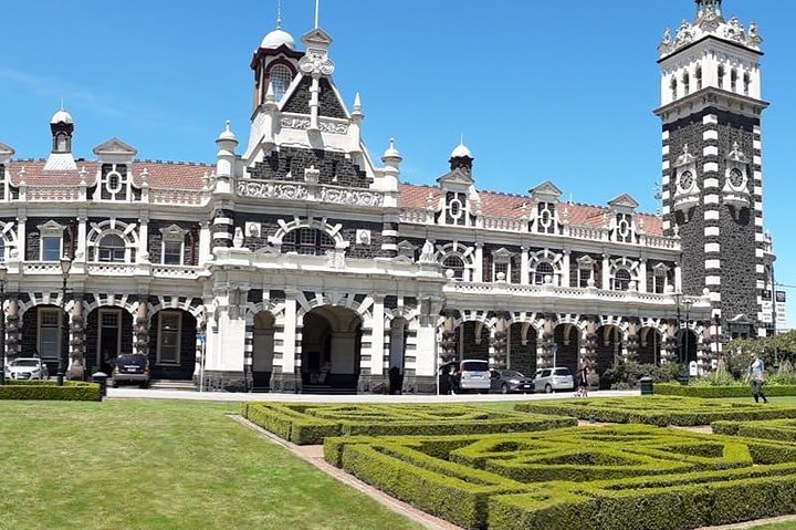Half day Private Tour of Dunedin City Highlights and Peninsula Scenery