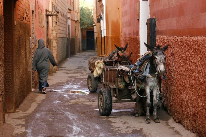 Marrakech: Private Guided Half-Day City Tour