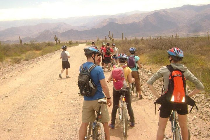 3-Day Tour of Cachi, Laguna Brealito and National Park Los Cardones