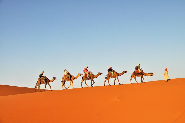 3-Day Tunisia Sahara Desert Camel Trek from Douz
