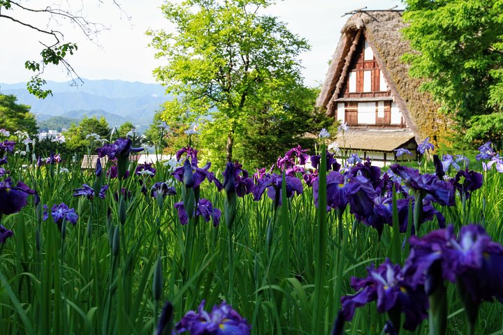 Private Tour Kanazawa, Shirakawago, Hida Furukawa,Takayama